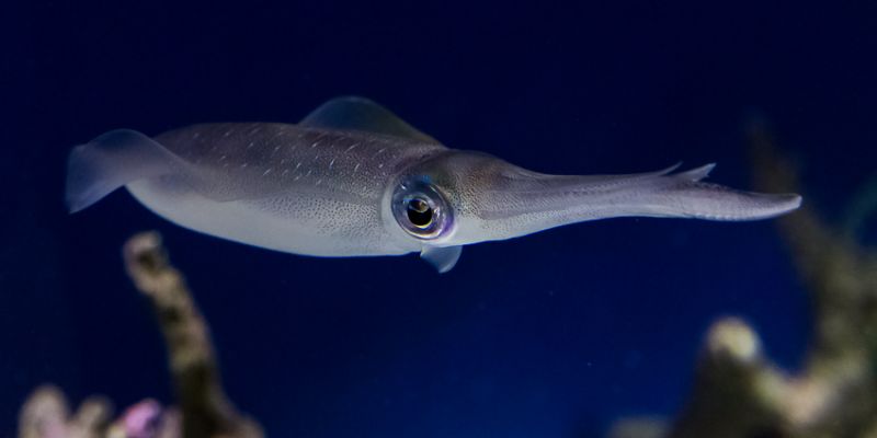 IMG_8007.jpg
