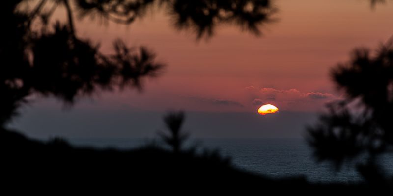 IMG_8059.jpg
