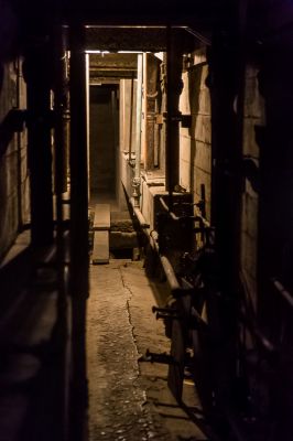 IMG_8704.jpg