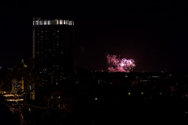 IMG_8825.jpg