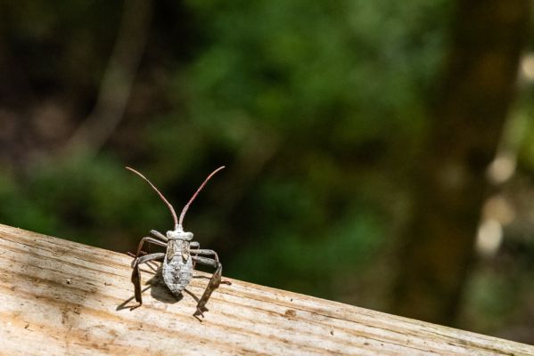 _MG_2633.jpg