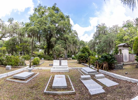_MG_3019-Pano.jpg