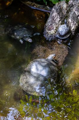 _MG_3171.jpg