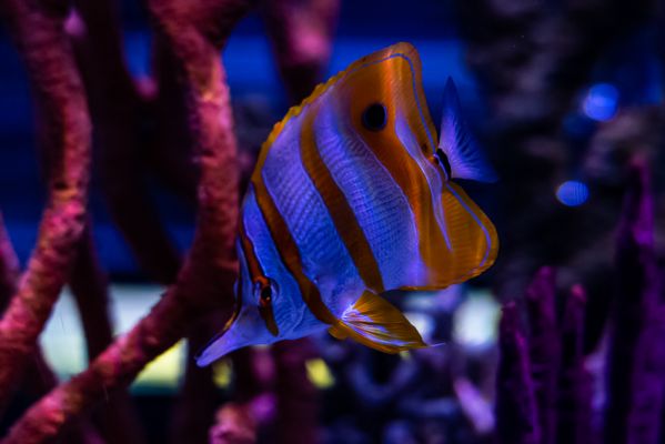 _MG_3866.jpg