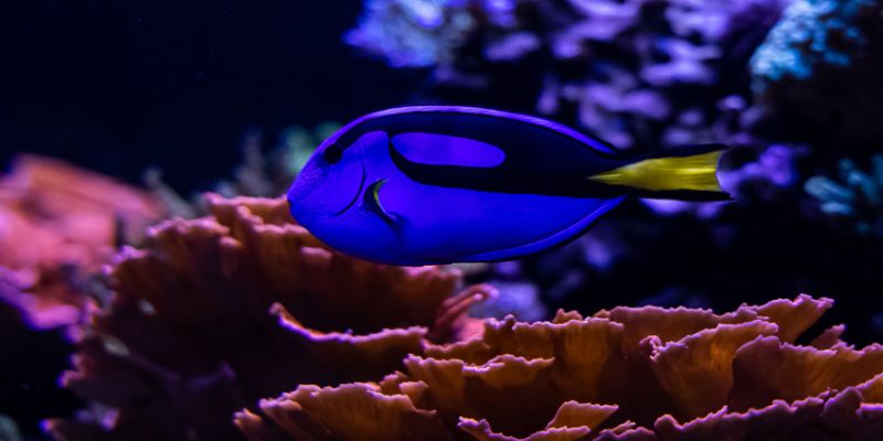 _MG_3867.jpg