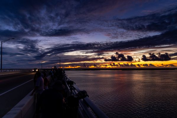 _MG_5544.jpg