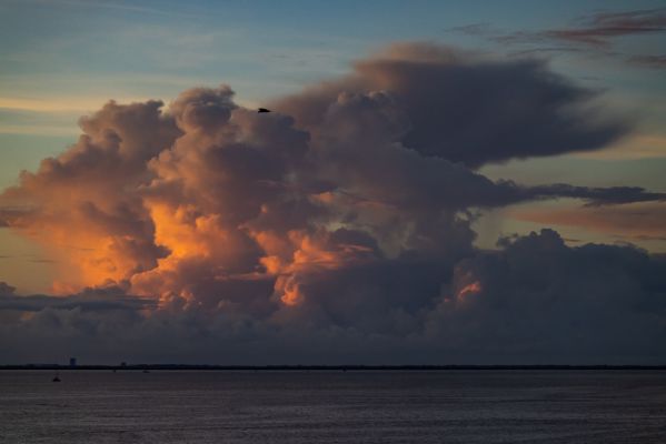 _MG_5576.jpg