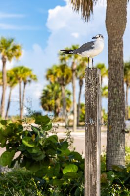 _MG_6261.jpg