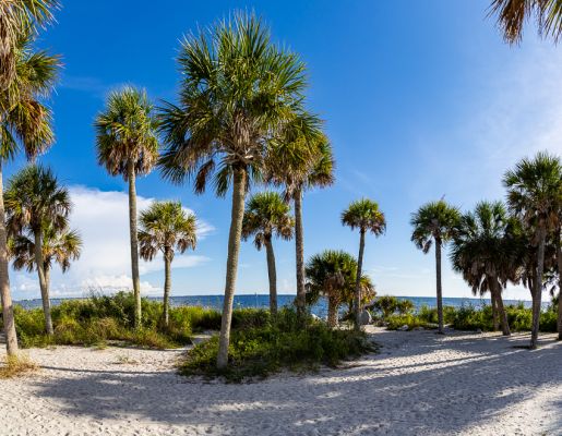 _MG_6330-Pano-2.jpg