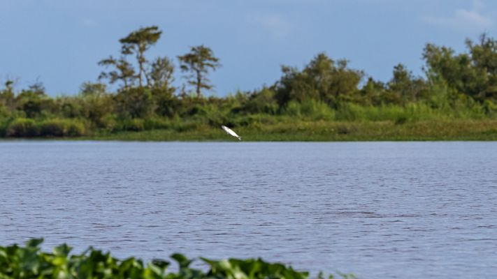 _MG_7294.jpg