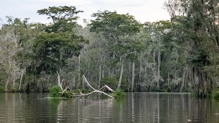 _MG_7402.jpg