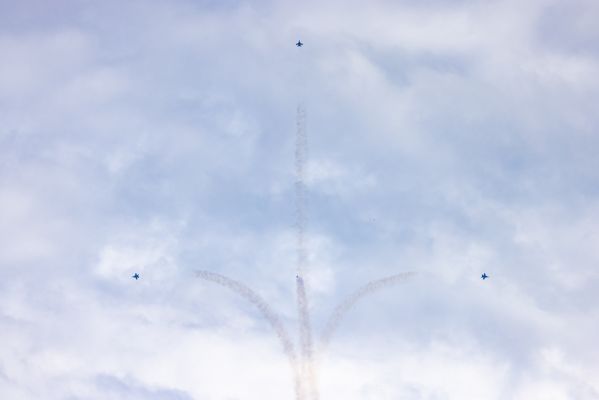 _MG_7901.jpg