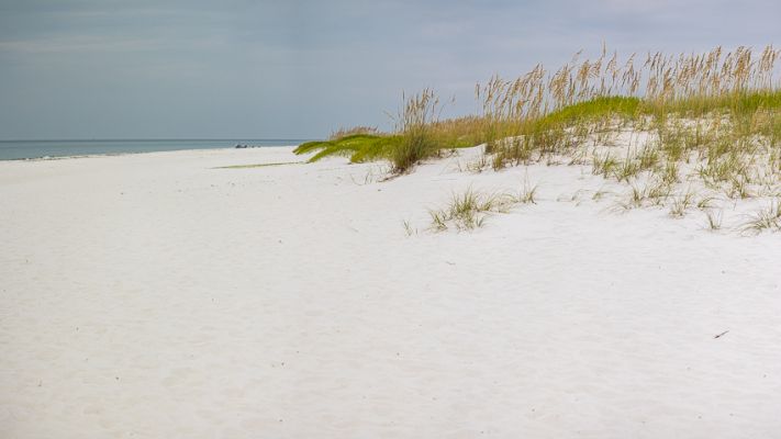 _MG_8140-Pano.jpg