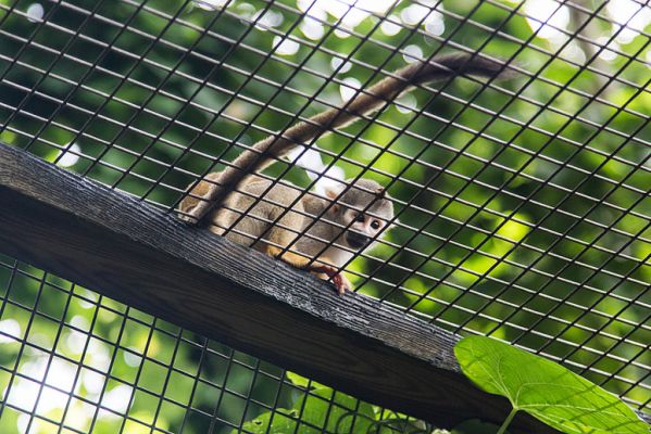 img_0321_passig_gemacht.jpg