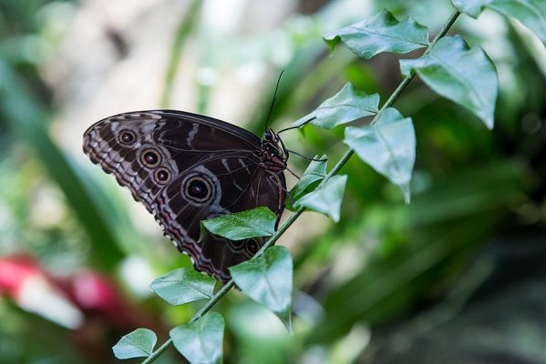 img_0736_passig_gemacht.jpg