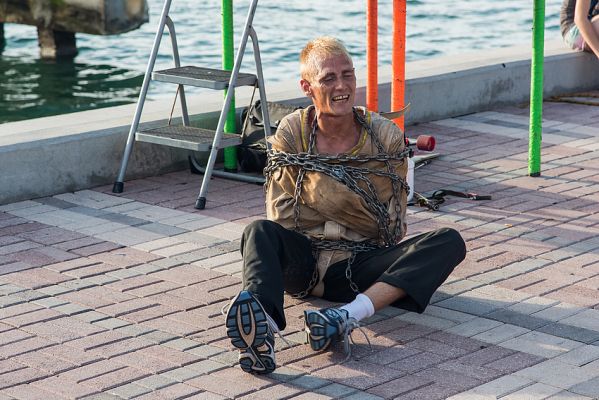 img_0861_passig_gemacht.jpg