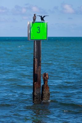 img_1021_passig_gemacht.jpg