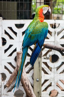 img_3616_passig_gemacht.jpg