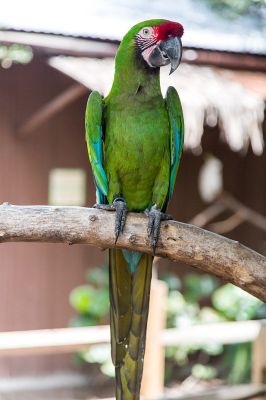 img_3671_passig_gemacht.jpg