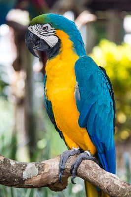 img_3675_passig_gemacht.jpg