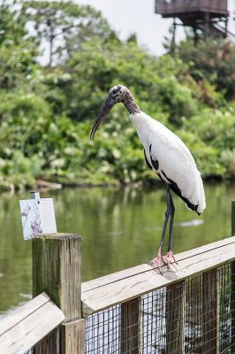 img_3696_passig_gemacht.jpg
