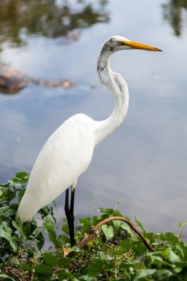 img_3706_passig_gemacht.jpg