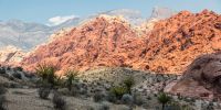 IMG_1772.jpg
