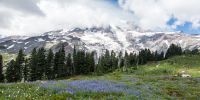 IMG_2494.jpg
