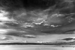 IMG_3465-2.jpg
