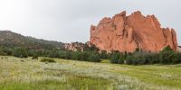 IMG_4271.jpg