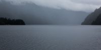 IMG_4397.jpg