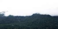 IMG_4402.jpg