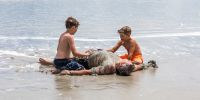 IMG_4760.jpg