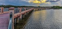 IMG_4776.jpg