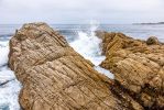 IMG_4876~0.jpg