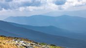 IMG_5498.jpg