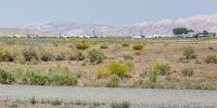 IMG_5635.jpg