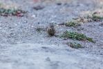 IMG_5831.jpg