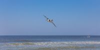 IMG_5915~0.jpg