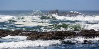 IMG_6182.jpg