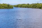 IMG_6339~1.jpg