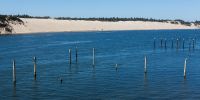 IMG_6457.jpg