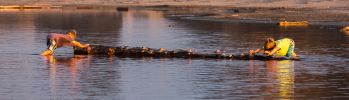IMG_6751.jpg