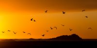 IMG_6770.jpg