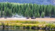 IMG_7409~0.jpg