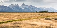 IMG_7656~0.jpg