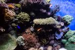 IMG_7874.jpg