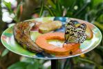 img_0738_passig_gemacht.jpg