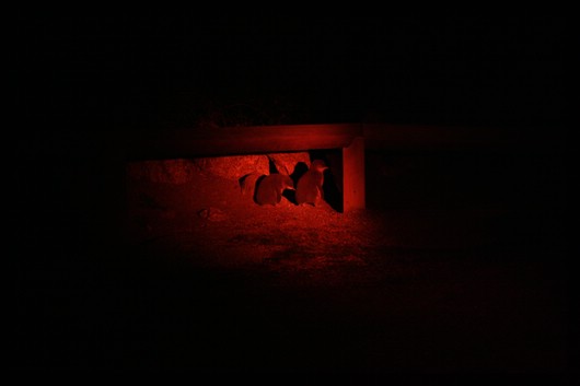 2010_10_11_12.jpg