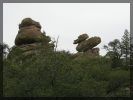 2009_03_08_05.jpg